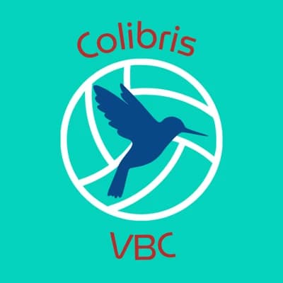 Colibris Volleyball Club logo