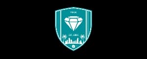 Miami Diamonds Volleyball Club logo